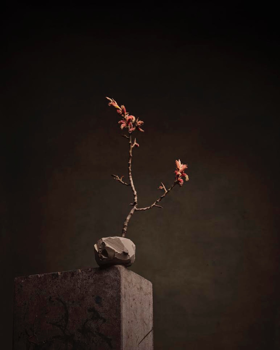 Studio shot of a flower branch with small pink flowers in a stone vase on a concrete pedestal against a dark brown background.