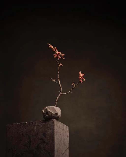 Studio shot of a flower branch with small pink flowers in a stone vase on a concrete pedestal against a dark brown background.