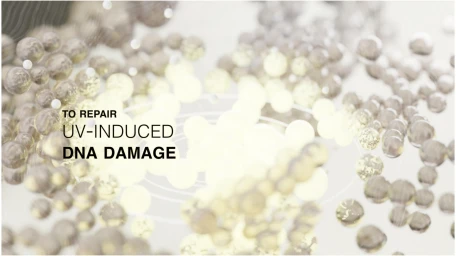 3D rendering of glowing pale yellow and smoky translucent molecular spheres with text reading TO REPAIR UV-INDUCED DNA DAMAGE.