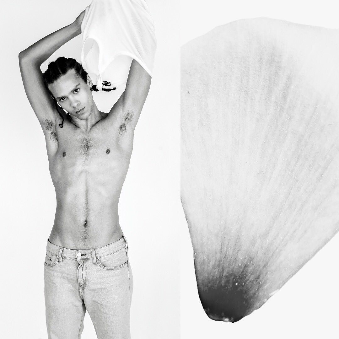Black and white studio shot of a shirtless adult male in jeans with braided hair, taking off a white t-shirt against a white background.