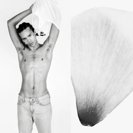 Black and white studio shot of a shirtless adult male in jeans with braided hair, taking off a white t-shirt against a white background.