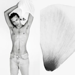 Monochrome portrait of a young man removing a white t-shirt next to a close-up botanical petal texture detail.