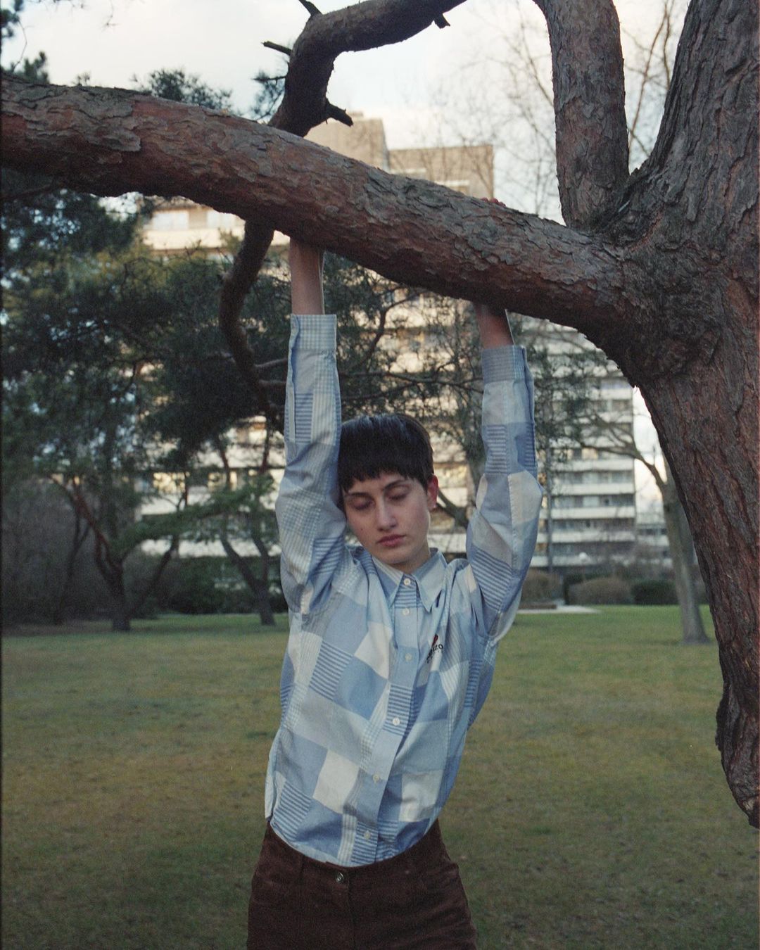 Young adult hangs from a tree branch in a park, wearing a blue patterned shirt and brown pants, with city buildings in the background.