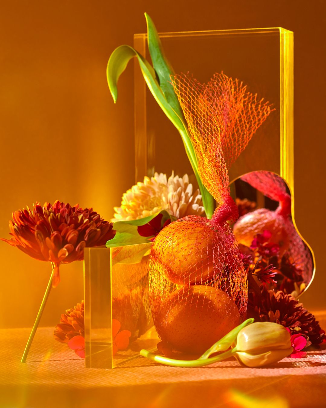 Still life photograph of oranges in a net bag surrounded by orange flowers, clear acrylic blocks and a yellow-orange backdrop.
