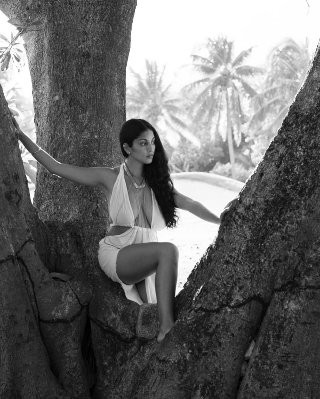 Black and white portrait of an East Indian woman sitting in a tree with palm trees and greenery in the background.