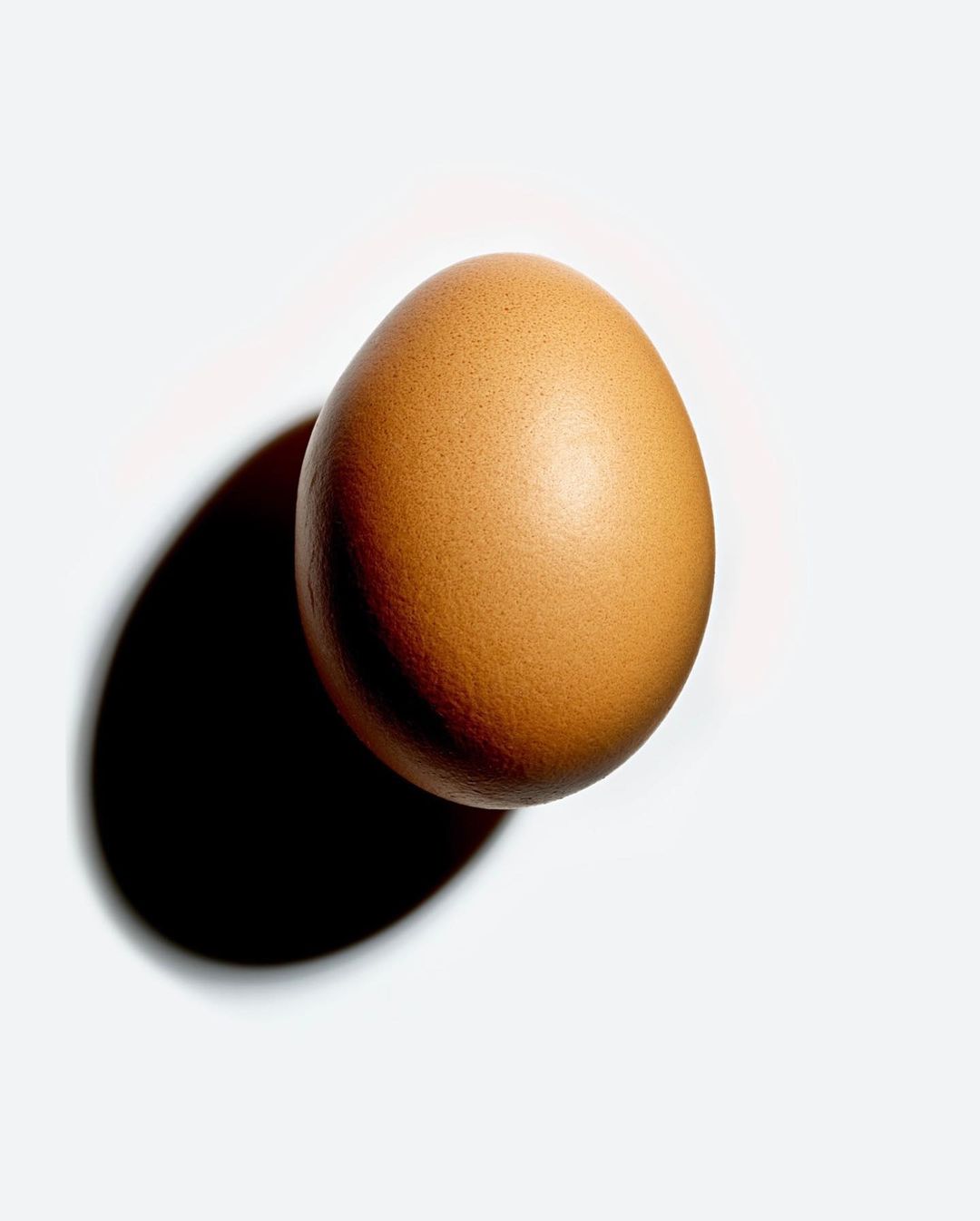 Close-up studio shot of a brown chicken egg casting a dark shadow on a white surface, emphasizing its natural texture and shape.