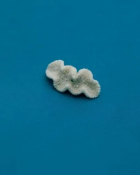 A small piece of white textured coral resting centrally on a solid dark blue surface.