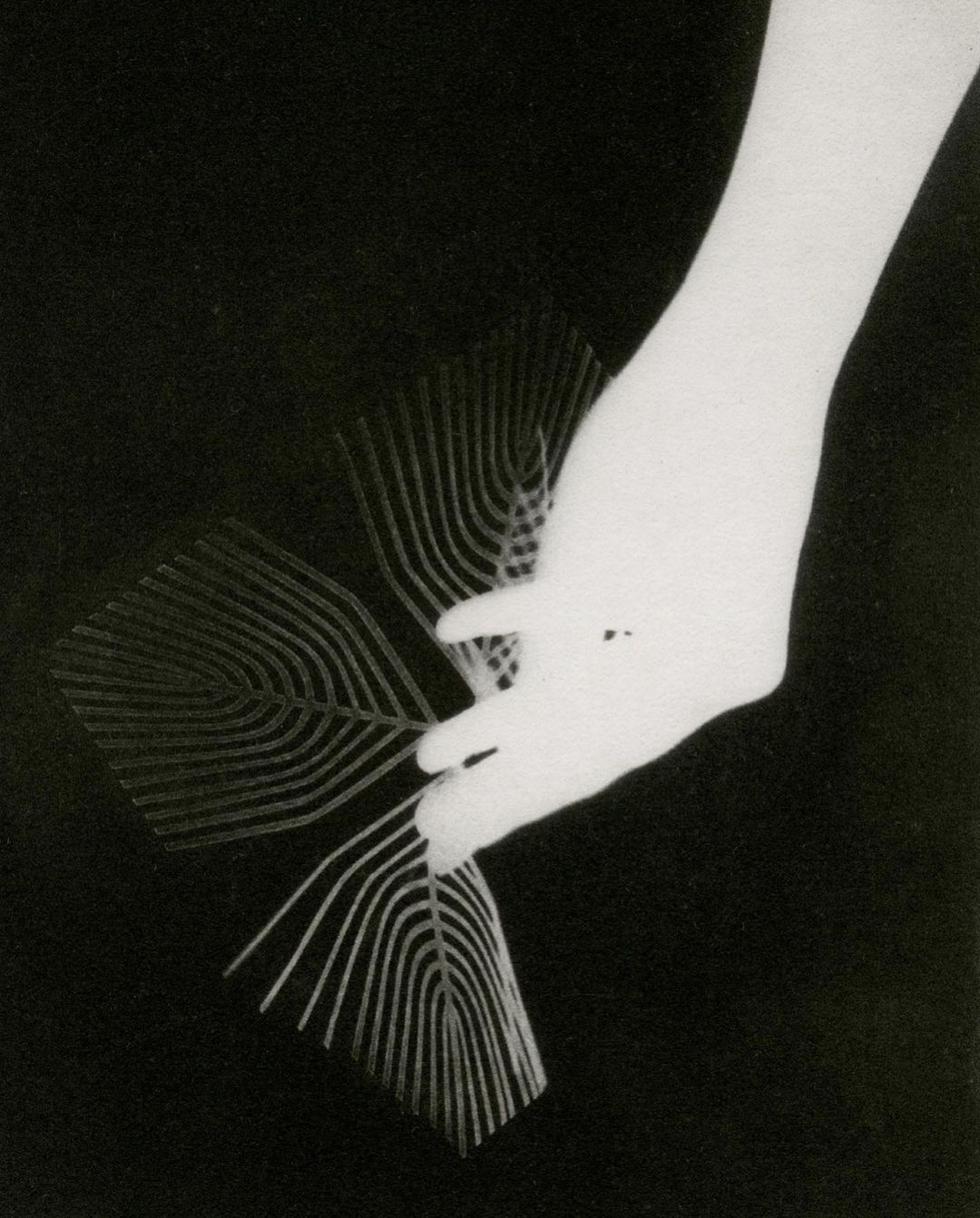 Monochrome photograph featuring a hand with long exposure effect creating ghostly, curved lines in a minimalist composition.