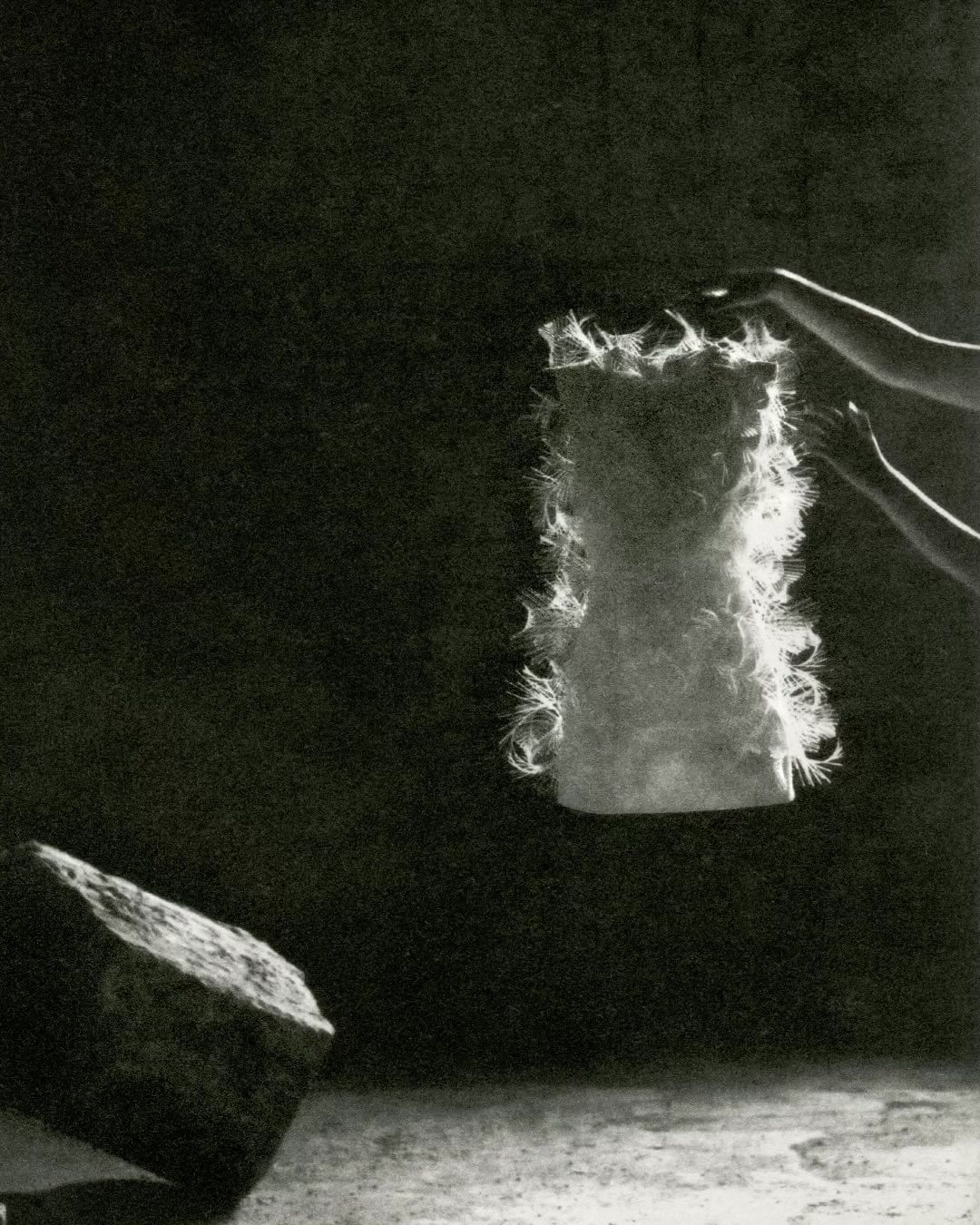 Monochrome photograph by Chantal Elisabeth Ariens showing hands holding a glowing feathered garment against a dark textured background.