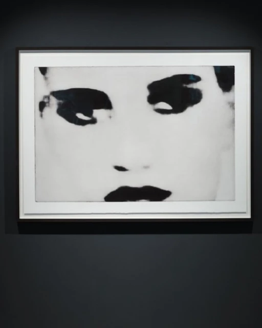 Close-up black and white photo of a framed face in grayscale with dark eyes and lips, hanging on a dark grey wall, museum art exhibit.