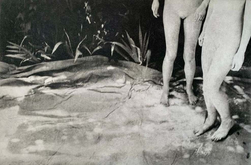 Monochrome image of two figures in nature, showcasing artistic lighting and posing against a backdrop of foliage and a textured surface.