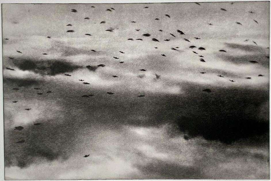 Monochromatic artwork of a flock of birds flying in a cloudy sky with light peeking through the clouds, creating a sense of depth.
