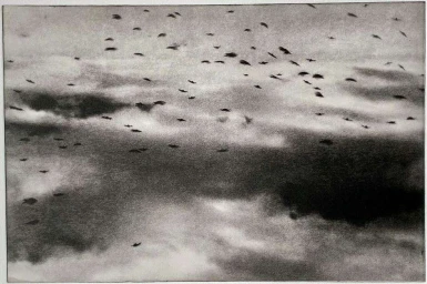Monochrome photographic print capturing a large flock of birds flying across a heavy, dramatic cloudscape.