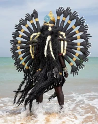 A person viewed from behind wearing a multi-armed costume standing in shallow ocean surf against a horizon