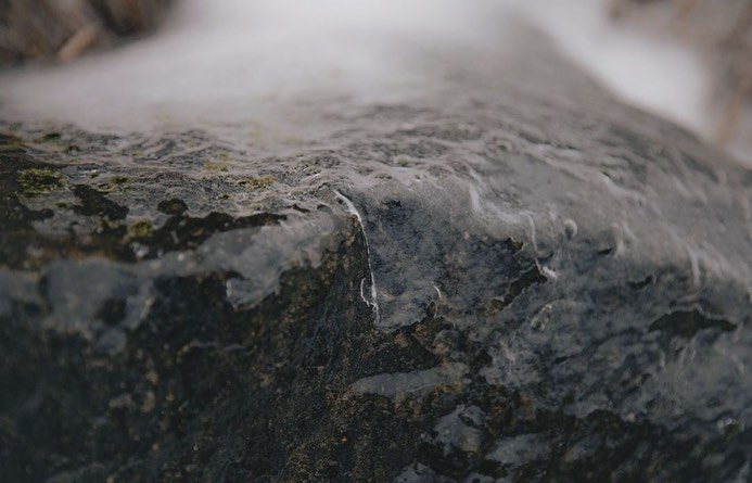 Close-up of a wet, mossy rock with a rough texture, its surface glistening in soft, diffused light, revealing intricate details.