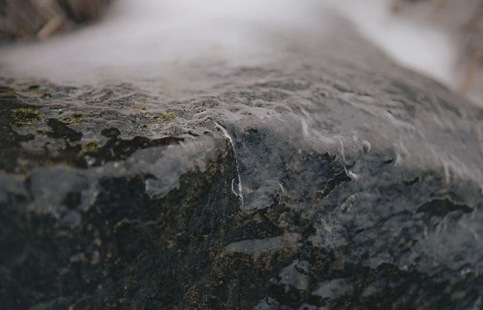 Close-up of a wet, mossy rock with a rough texture, its surface glistening in soft, diffused light, revealing intricate details.