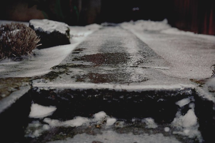 Icy concrete path with snow and plants in a low-angle outdoor shot, evoking a cold, wintery scene.