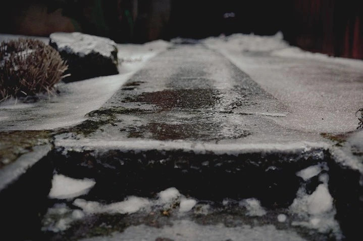 Icy concrete path with snow and plants in a low-angle outdoor shot, evoking a cold, wintery scene.