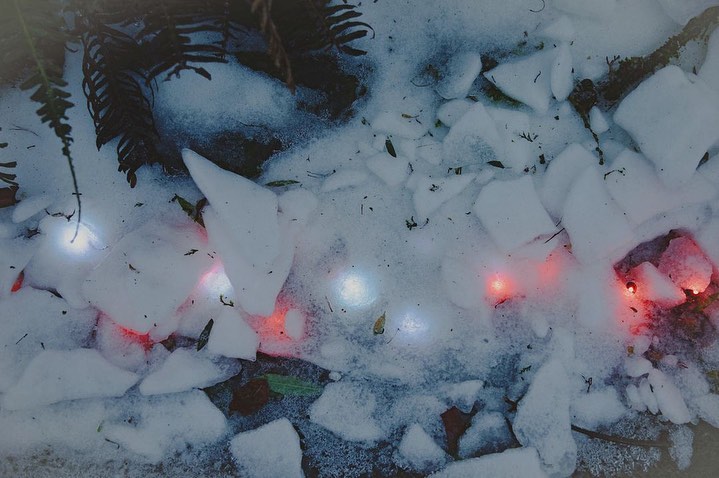 Snow covers the ground with patches of red and white lights, with hints of green foliage around the edges.