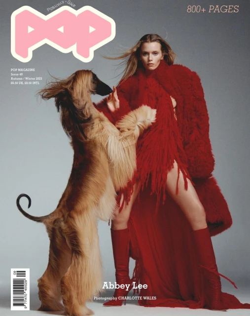 Magazine cover featuring model Abbey Lee in a red fringe dress with a long-haired Afghan Hound dog, against a neutral grey background.