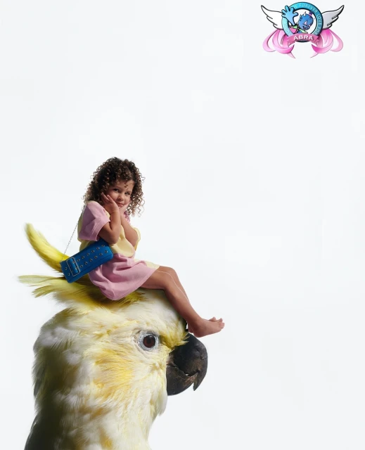 Young girl with curly hair is sitting on a yellow and white cockatoo parrot's head in a studio shot with a white background.