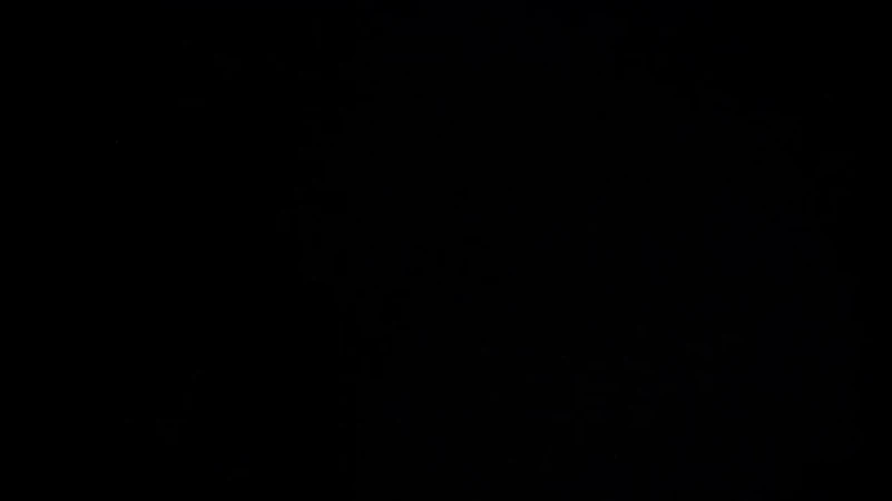 Monochromatic black background. Simple and stark, ideal for minimalist designs or use as a contrasting element in layouts.