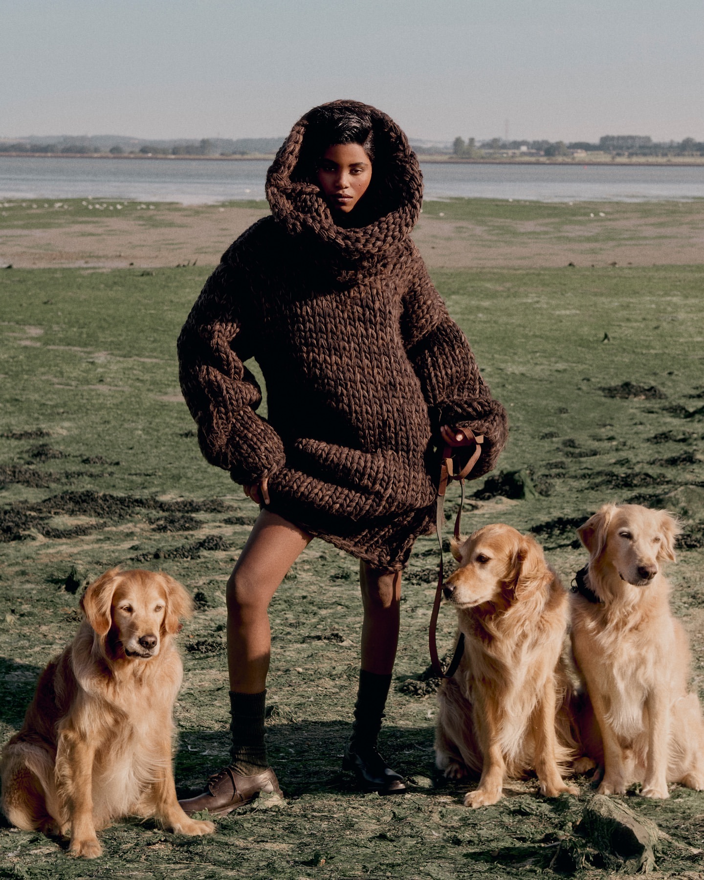 Woman in oversized brown knit sweater posing with four golden retrievers in grassy field near water on a sunny day.
