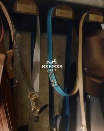 Close-up of luxury brand belts in shades of brown and blue hanging in a row, showcasing leather and gold hardware details.
