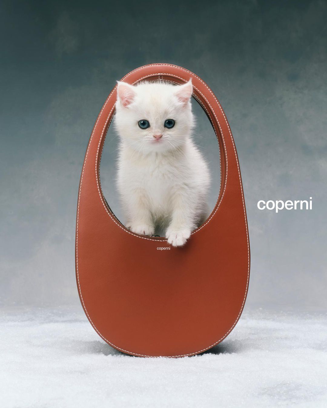 White kitten sits inside a tan leather purse against a soft grey background and white surface, fashion advertisement with Coperni logo.