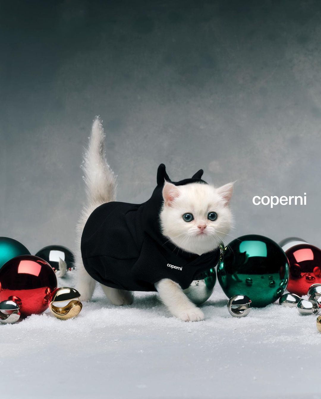 White kitten in black hooded jacket surrounded by colorful Christmas ornaments against a grey backdrop with the Coperni logo visible.