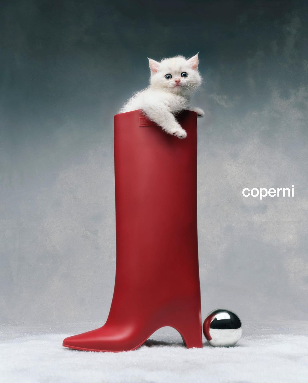 A small white kitten sits inside a tall red boot next to a metallic silver ball in a studio setting against a blue-gray background.
