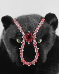 Close-up of a black panther plush toy adorned with a jeweled red and silver headpiece by Charly Gosp.