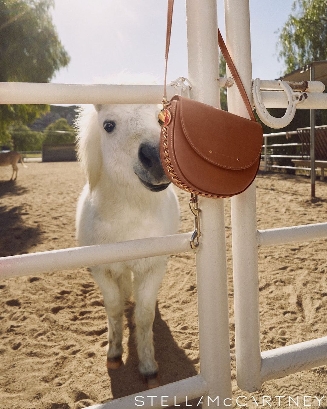 Brown leather Stella McCartney purse hanging on a white fence next to a white pony in a sandy paddock on a sunny day.