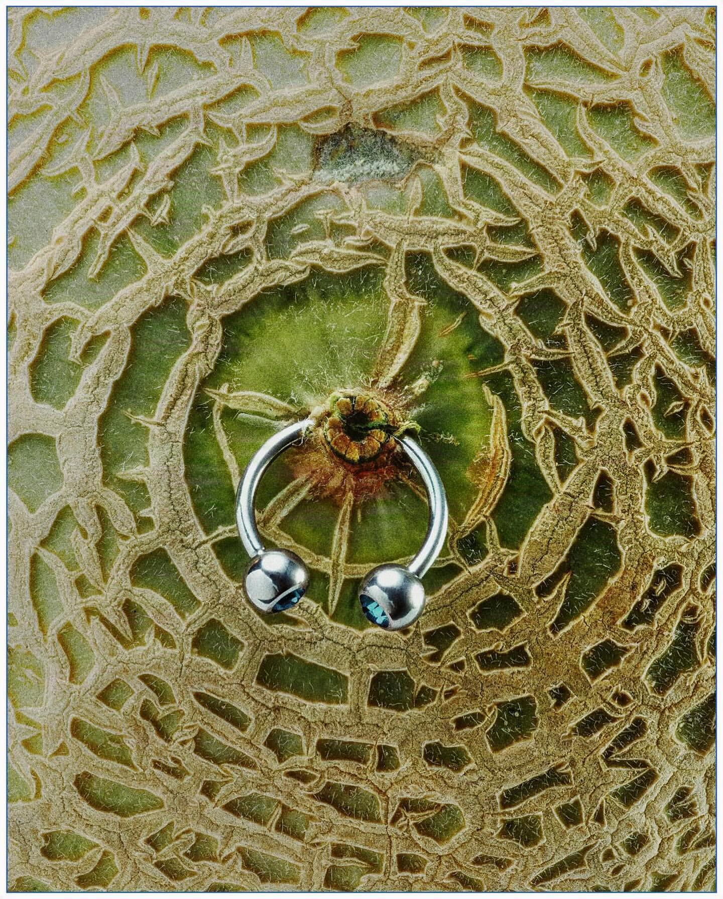 Close-up studio shot of cantaloupe melon rind and silver horseshoe ring with blue accents, showcasing texture and jewelry detail.