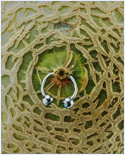 Close-up studio shot of cantaloupe melon rind and silver horseshoe ring with blue accents, showcasing texture and jewelry detail.