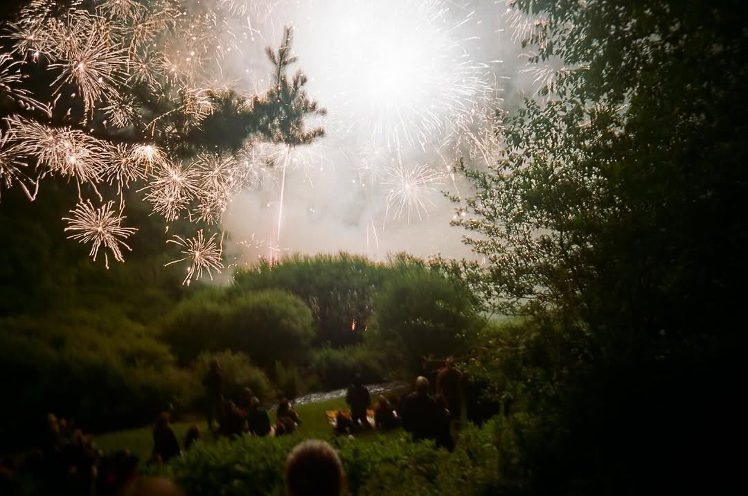 A fireworks display illuminates the night sky above trees and a crowd of people gathered in a grassy outdoor setting at twilight.
