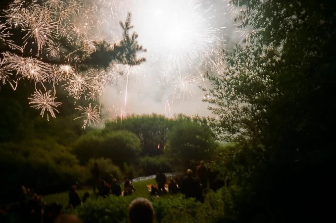 A fireworks display illuminates the night sky above trees and a crowd of people gathered in a grassy outdoor setting at twilight.