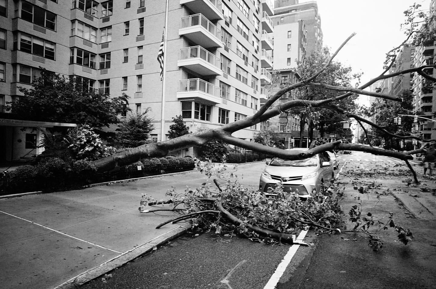 Black and white photograph of a fallen tree branch blocking an urban street, with a parked car and apartment buildings visible.