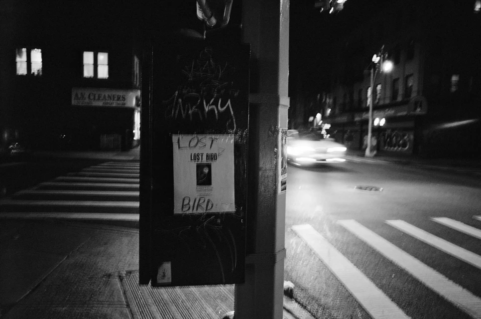 Black and white street photography at night featuring a telephone pole with graffiti and a lost bird poster along a city sidewalk.
