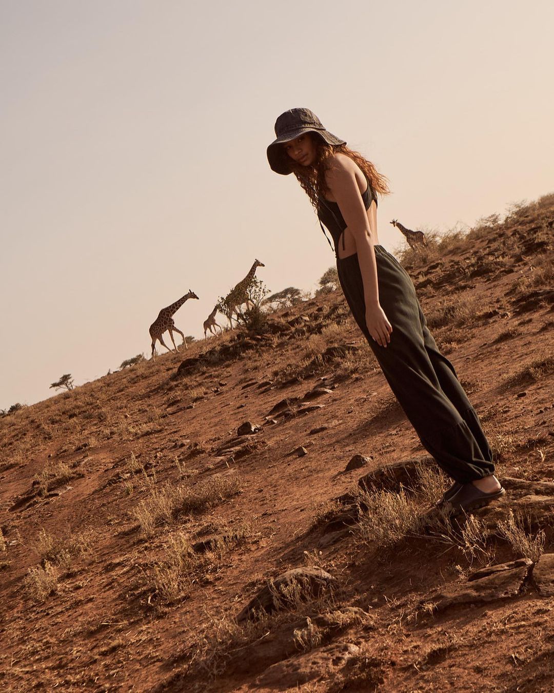 Woman in black outfit and hat stands on a hill with giraffes in the background. Landscape photography with natural lighting.