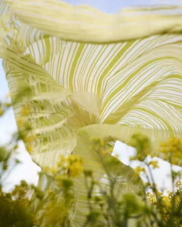 Striped textile in the breeze over a field of yellow flowers against a light blue sky, capturing a serene, nature-filled scene.