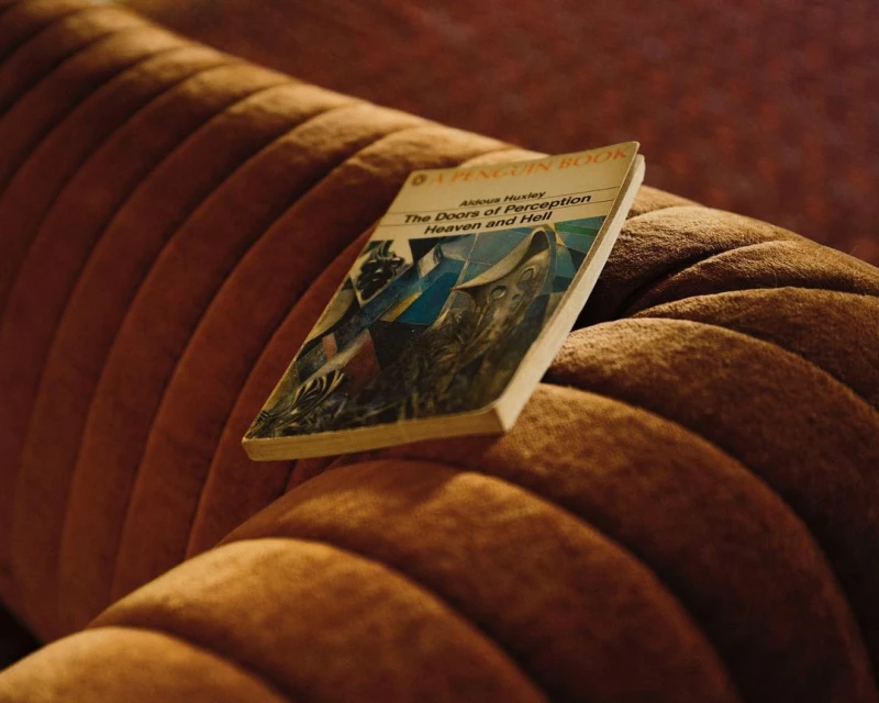 Vintage paperback copy of Aldous Huxley's 'The Doors of Perception' rests on a ribbed, brown velvet sofa. Close up, indoor setting.