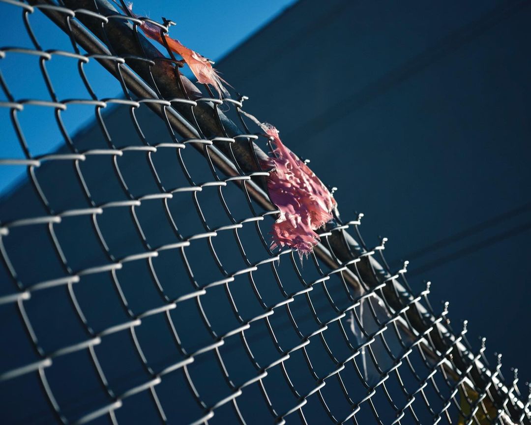 Chain-link fence with colorful debris caught on the wire against a blue background, creating an abstract, textured composition.