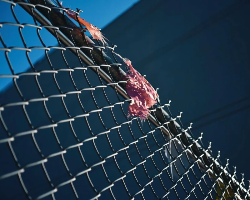Chain-link fence with colorful debris caught on the wire against a blue background, creating an abstract, textured composition.
