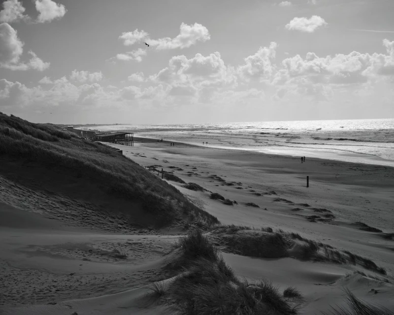 Monochrome landscape of a beach with dunes, ocean waves, and a few people walking along the shore under a cloudy sky.