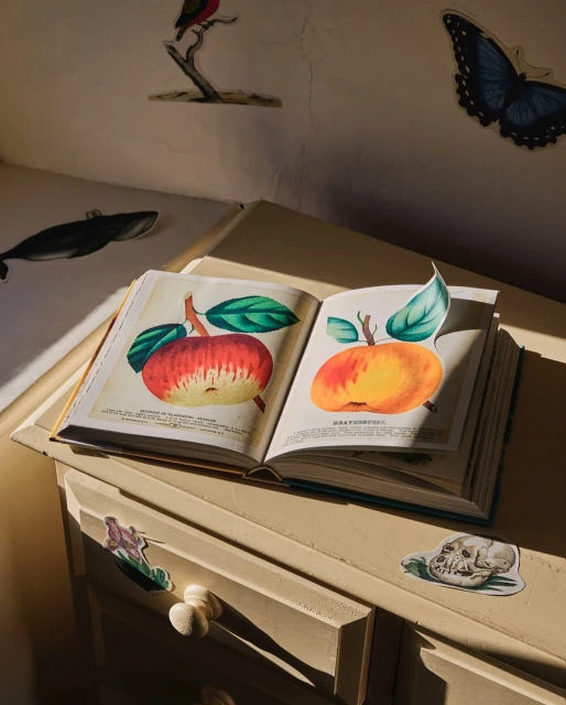 Open book featuring apple illustrations placed on a painted drawer cabinet alongside wall decorations, lit by warm light and shadow.