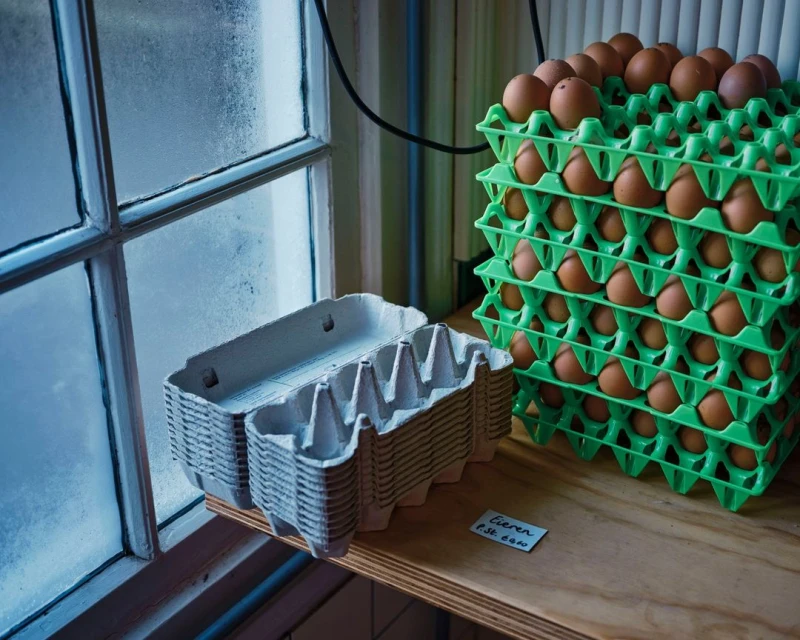 Stacks of brown eggs in green plastic trays and empty cardboard egg cartons are displayed on a wooden shelf near a window.