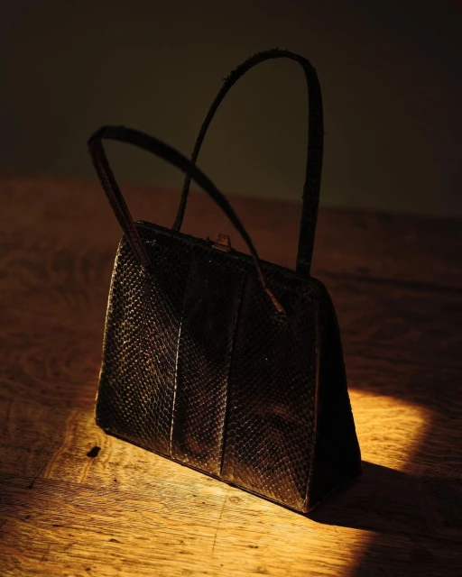 Reptile-patterned handbag with handles on wooden table in dark environment with warm, soft lighting creating highlights and shadows.