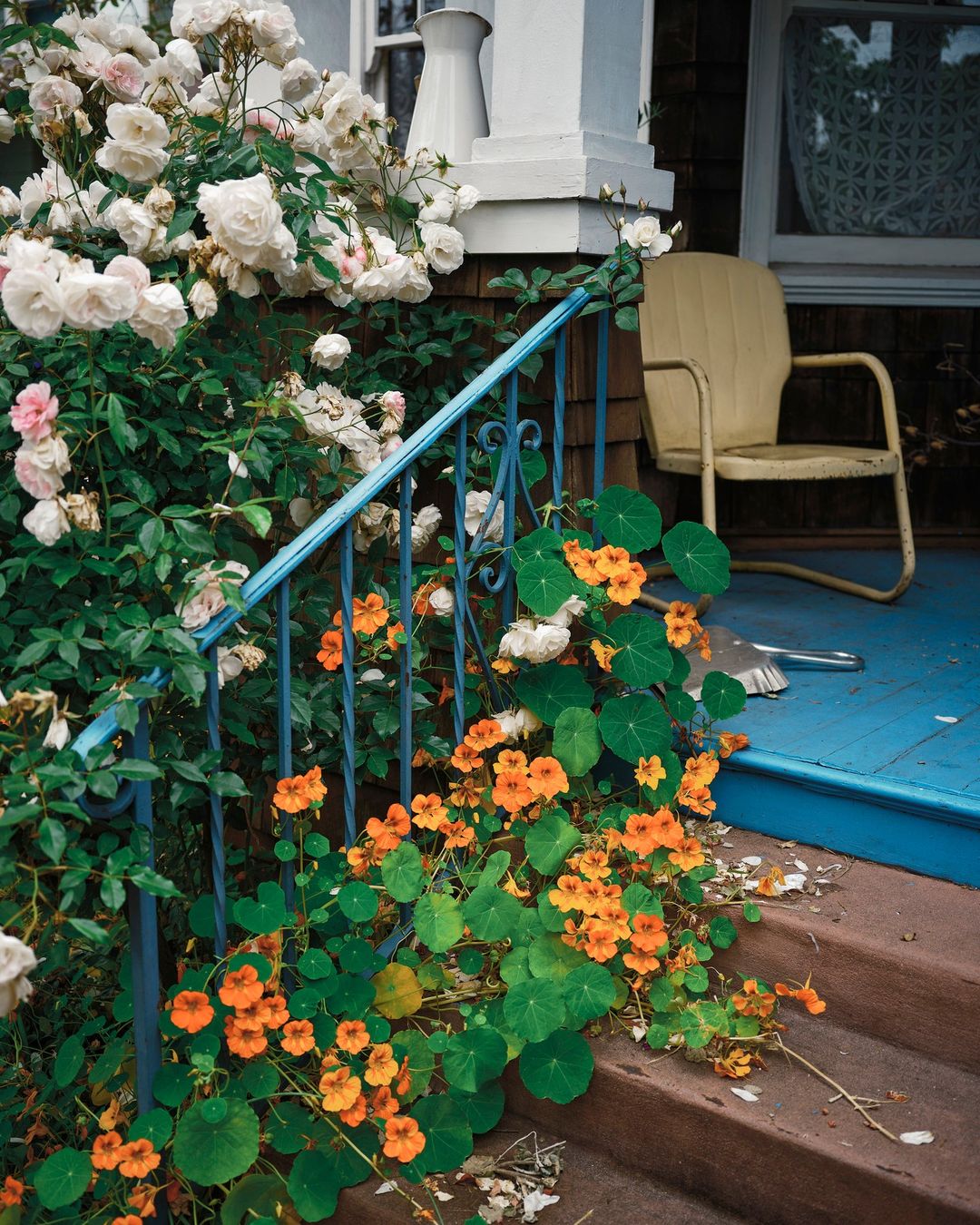 Exterior view of a house porch with a vintage yellow chair, colorful flowers, a blue railing, and concrete stairs. Lush greenery surrounds the space.