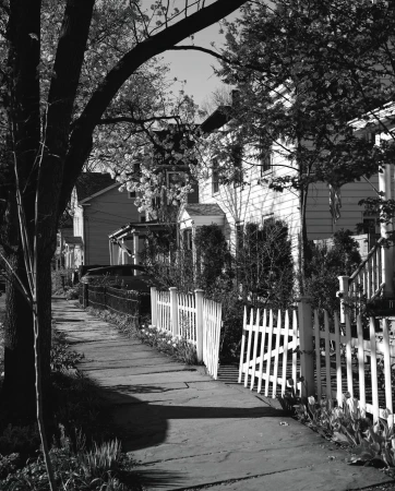 Black and white street view of residential houses, fenced yards, blooming trees, and a sidewalk on a sunny day.